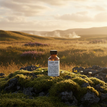 Hvernig velur maður rétta ilmolíu fyrir sitt rými? - Lykt - Skapar hið fullkomna andrúmsloft